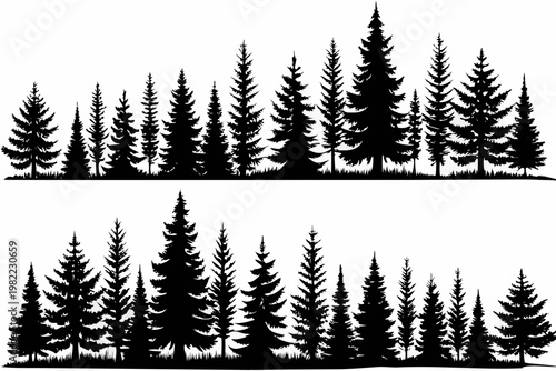 Silhouetted coniferous forest landscape with dense tree formations