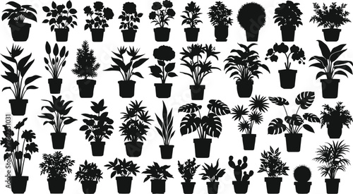 Diverse collection of potted houseplants in monochromatic illustration Vector