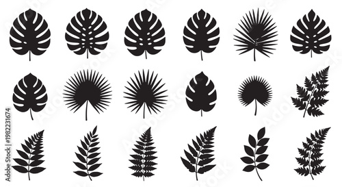 Collection of various tropical leaf silhouettes on for design and decoration purposes