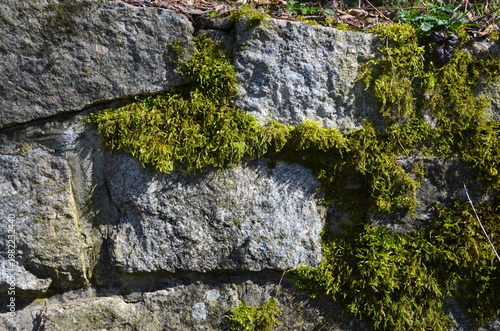 Natursteinmauer im Wald mit Moos