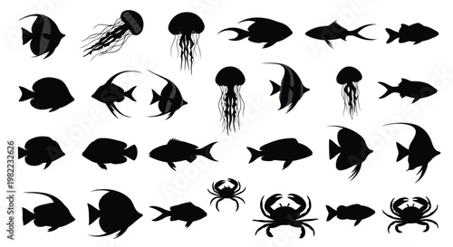 Collection of various sea creatures and fish