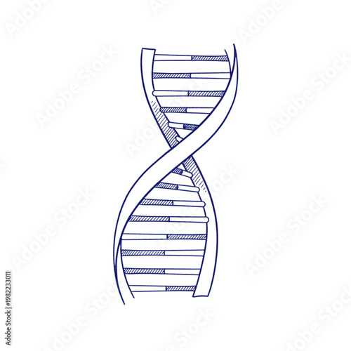 Blue D N A Double Helix Silhouette genetics science
