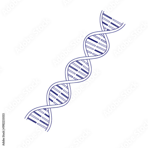 Blue D N A helix with white outline on transparent background