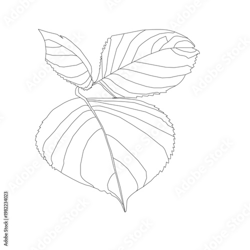 A Relentless Force That Breaks Every Barrier, Commands Its Destiny, Defies All Doubt, and Stands Unmoved With Strength Forged in Fire and a Will That Nothing in This World Can Silence.”