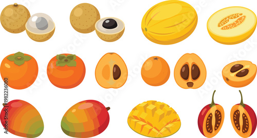 Tropical Fruit Vector Set Featuring Sapodilla, Melon, Persimmon, Loquat, Mango, and Tamarillo with Whole Fruits, Halves, and Slices in Flat Design Style