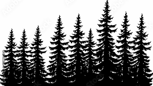 Silhouetted evergreen trees against a stark white background