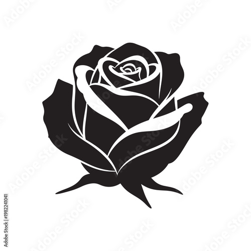 Black rose silhouette on with elegant lines and curves