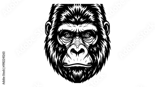 A black graphic design of draped fabric on a geometric shape