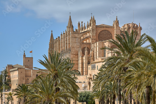 Detailed view of the Gothic facade and flying buttresses of the Cathedral of Mallorca, an iconic landmark surrounded by tropical greenery in the Balearic Islands.
