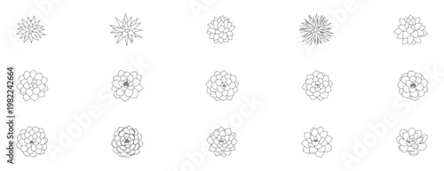 Set of hand drawn succulent plants, top view collection of various desert flowers, cacti and succulents, line art style, botanical vector illustrations