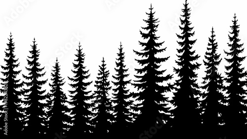 Silhouetted coniferous trees against a bright white background