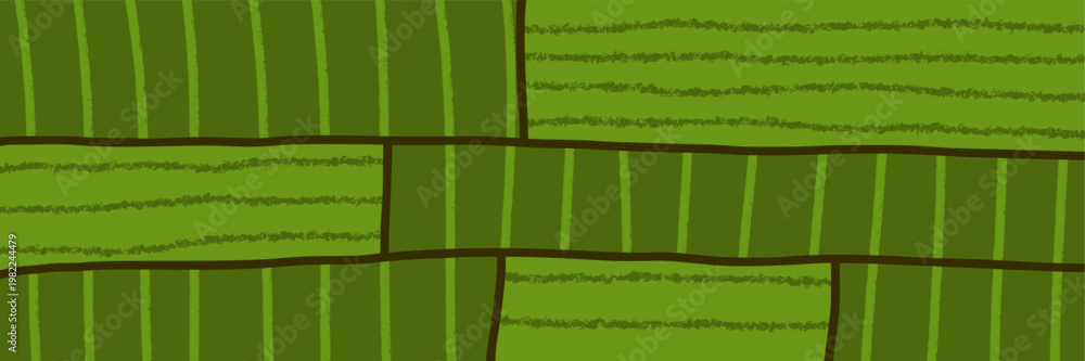 Obraz premium Top pattern agriculture for texture plantation farm and field vineyard abstract.