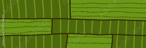 Top pattern agriculture for texture plantation farm and field vineyard abstract.