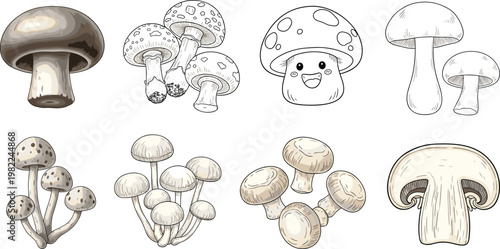Hand drawn mushroom collection featuring various edible fungus species sketches including portobello buttons and a cute whimsical character for culinary nature designs, vector illustration