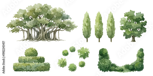 Watercolor banyan cypress and oak trees with garden shrubs and hedges for landscape architecture map plan design, isolated on transparent background