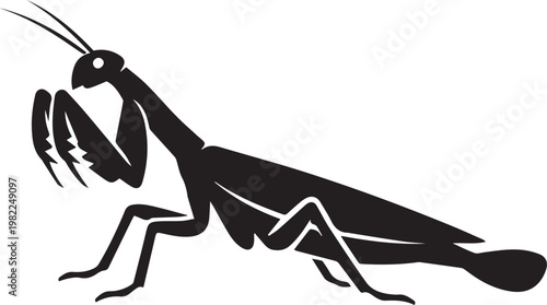 predatory praying mantis insect silhouette in high contrast black and white vector illustration