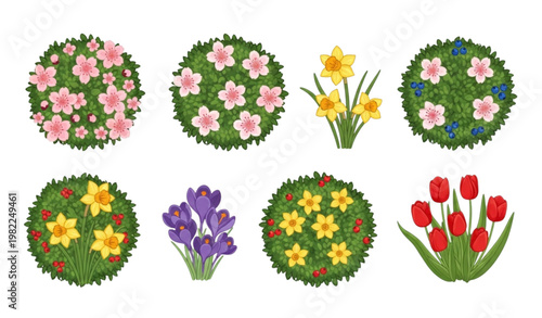 Spring shrub plants vector cartoon hedge green bushes floral set