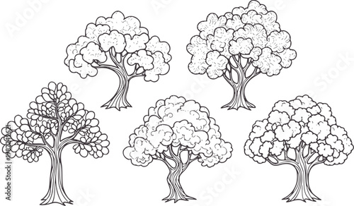 Five stylized trees with textured foliage and trunks nature