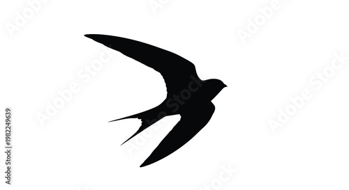 A graceful bird in flight captured as a dark silhouette