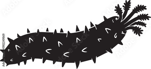 black sea cucumber marine invertebrate isolated silhouette flat design vector illustration