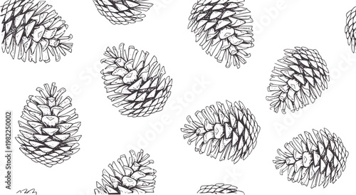 Hand drawn pine cones scattered across a white pinecone nature forest