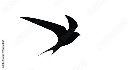 A striking black bird in flight elegantly captured as a silhouette