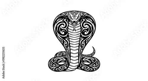 Intricate cobra illustration on white background detailed reptile artwork