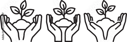 Hands holding seedling plant in soil for growth