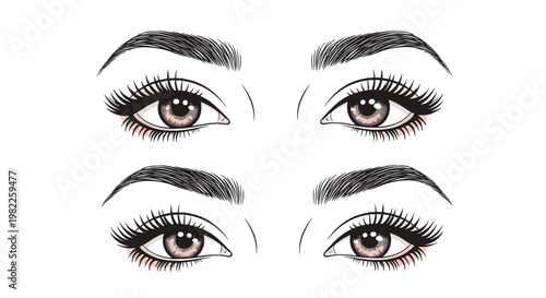 Illustration of two pairs of beautiful female eyes with long dark eyelashes and perfectly shaped eyebrows on a white background.