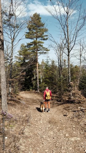 Man walking with a german shepherd dog along a forest trail in spring mountains. Scene represents outdoor lifestyle, hiking adventure, companionship, and connection with nature