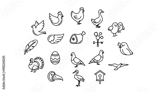 Minimal bird outline icon set with flying birds wings feather and farm animals in modern abstract layout vector