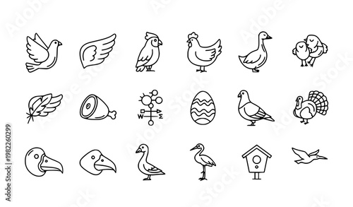 Bird line icons in circular layout with dove parrot chicken wings and decorative animal symbol collection vector