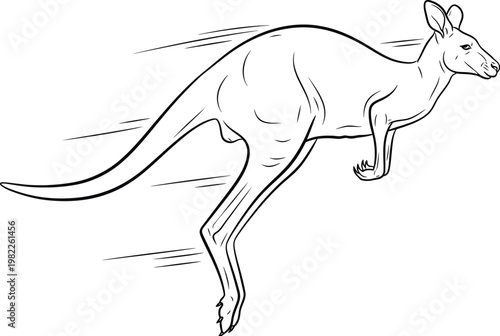 Dynamic line art illustration capturing a powerful kangaroo mid-leap, showcasing its incredible speed and agility with movement lines, perfect for children's books and educational materials.