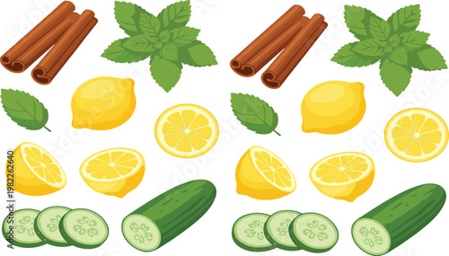 Fresh Ingredients Set with Lemon Mint Cucumber and Cinnamon Natural Food Elements Healthy Organic Vector Illustration Collection