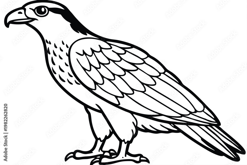Obraz premium buzzard bird silhouette line art vector illustration with a white background