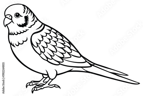 budgerigar bird silhouette line art vector illustration with a white background
