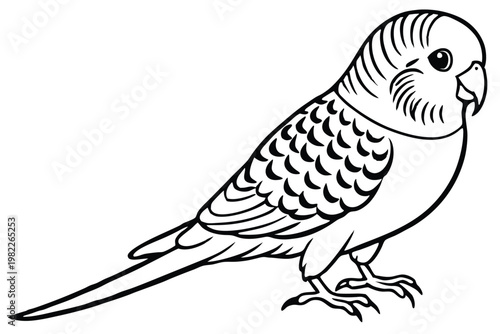 budgerigar bird silhouette line art vector illustration with a white background