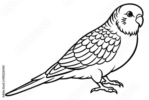 budgerigar bird silhouette line art vector illustration with a white background