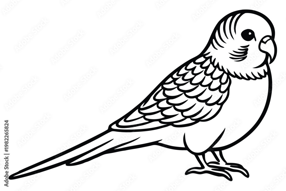 Fototapeta premium budgerigar bird silhouette line art vector illustration with a white background