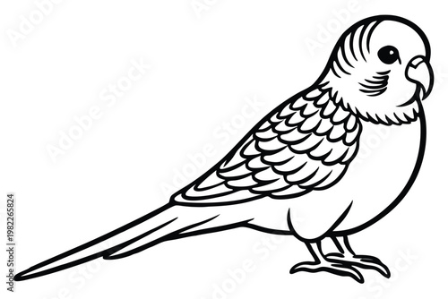 budgerigar bird silhouette line art vector illustration with a white background