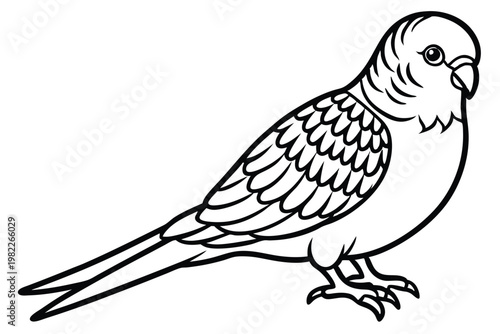 budgerigar bird silhouette line art vector illustration with a white background