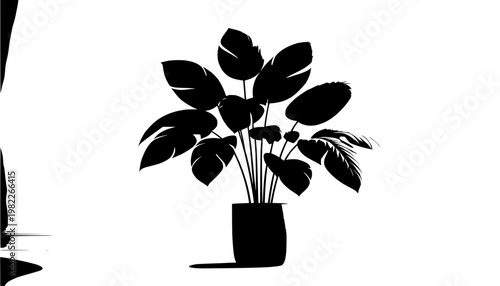 orchid flower in vase