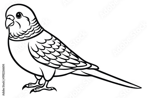 budgerigar bird silhouette line art vector illustration with a white background