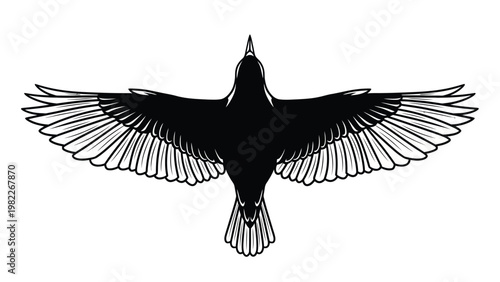 vector, illustration, of animals
