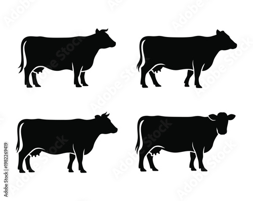 Cows graze in a rural farm setting.