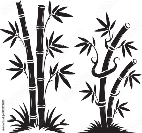 Elegant bamboo grove with a serpentine bamboo stalk intertwined among the stalks