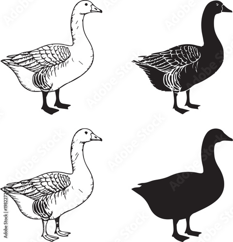 Four distinct styles of geese silhouettes in black and white line art
