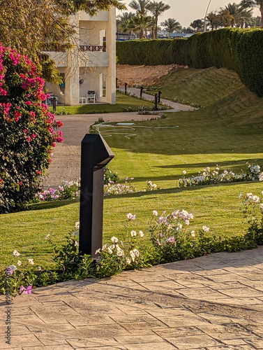 Stone path with blooming flowers