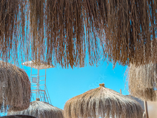Thatched parasols under blue sky