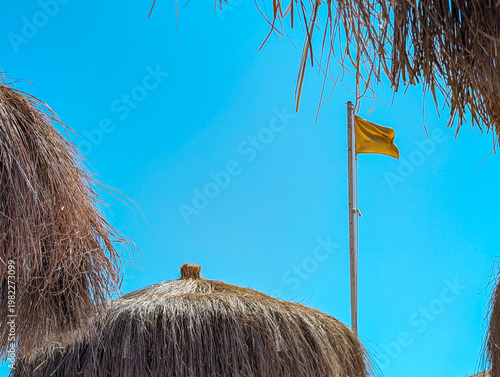 Thatched parasols under blue sky